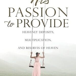 Front Cover of His Passion to Provide by Bonita Bush